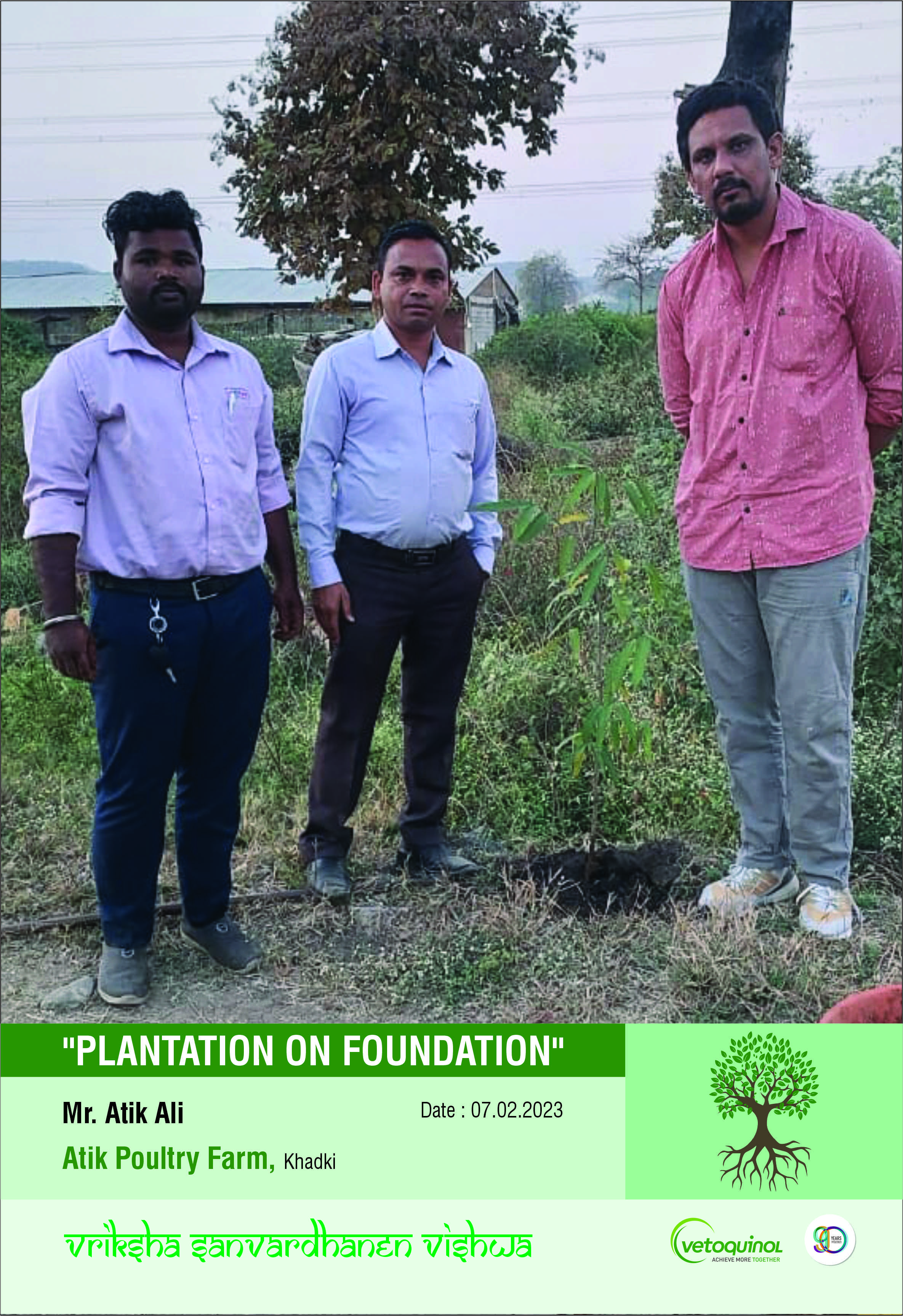 plantation on foundation 4