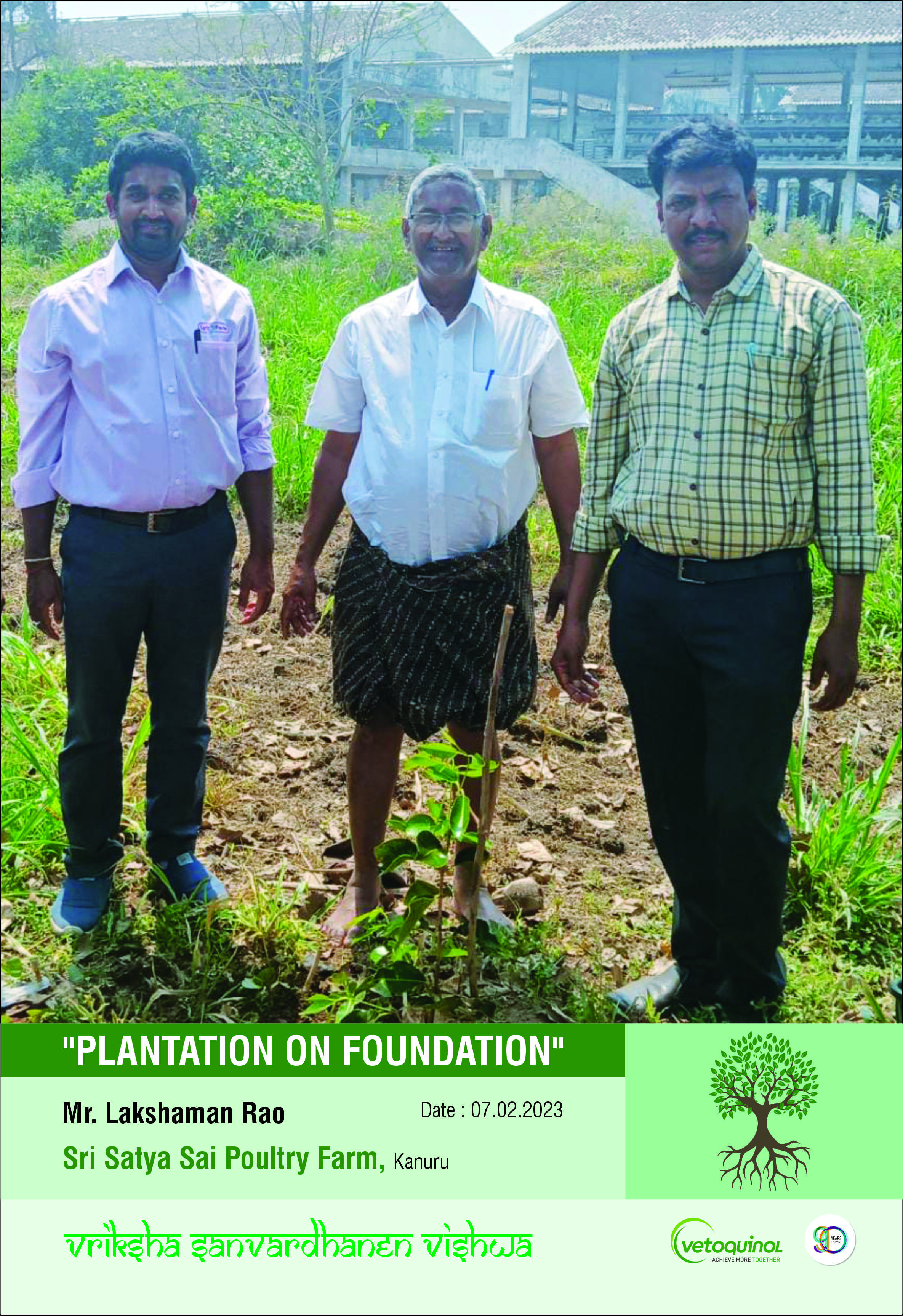 plantation on foundation 5