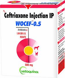 Wocef 0.5